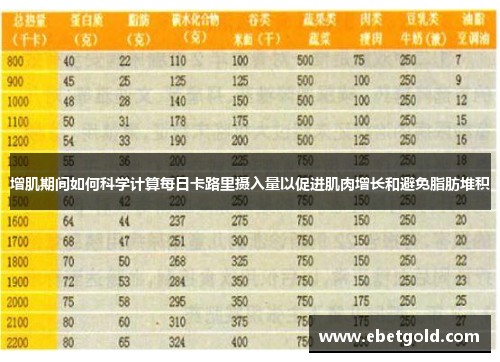 增肌期间如何科学计算每日卡路里摄入量以促进肌肉增长和避免脂肪堆积