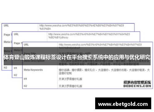 体育登山锻炼课程标签设计在平台搜索系统中的应用与优化研究