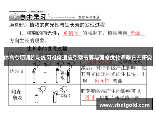 体育专项训练与练习难度适应引擎节奏与强度优化调整方案研究